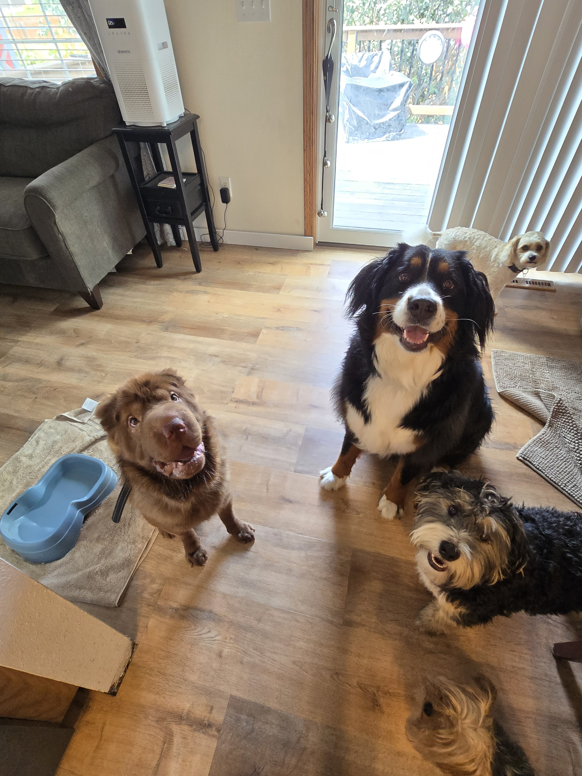 Daycare